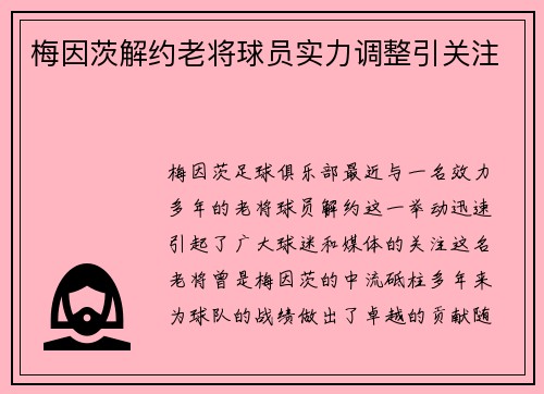 梅因茨解约老将球员实力调整引关注