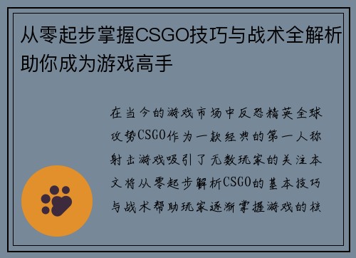 从零起步掌握CSGO技巧与战术全解析助你成为游戏高手