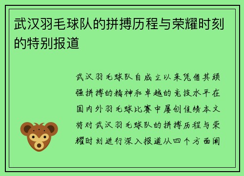 武汉羽毛球队的拼搏历程与荣耀时刻的特别报道