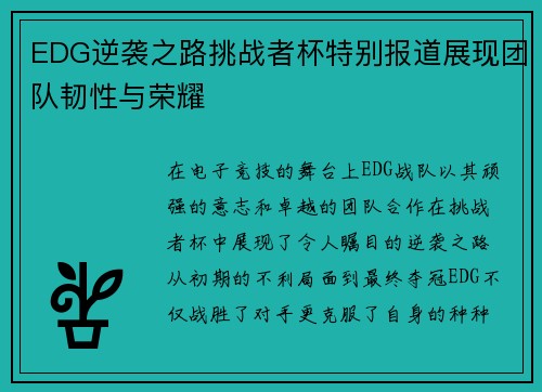 EDG逆袭之路挑战者杯特别报道展现团队韧性与荣耀