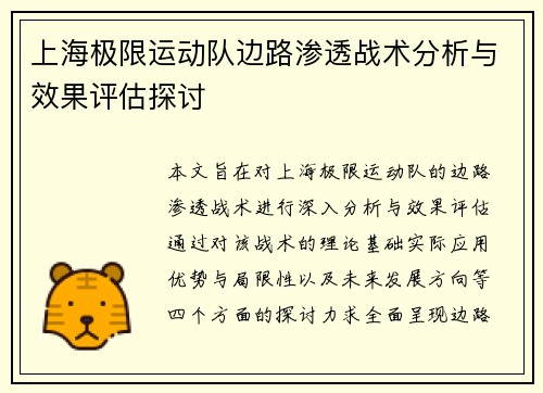 上海极限运动队边路渗透战术分析与效果评估探讨